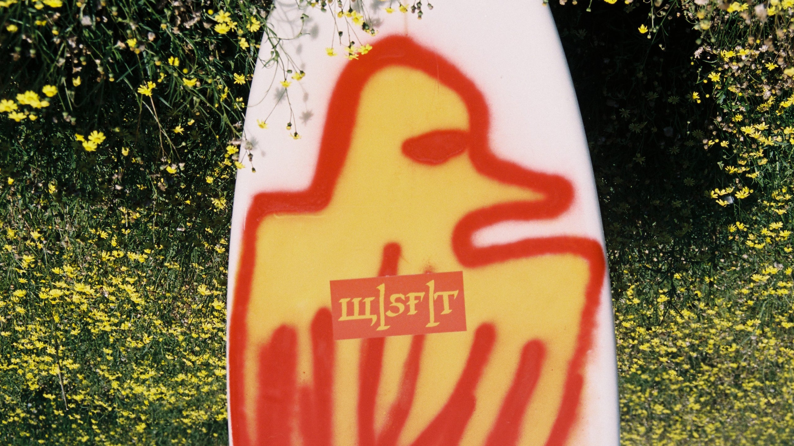 DRIB | MISFIT SHAPES